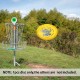 1 PCS Sport Disc Disc Golf Flying Disc Game Throwing Disk for Kids Adults Beginners Family